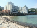 Shirahama